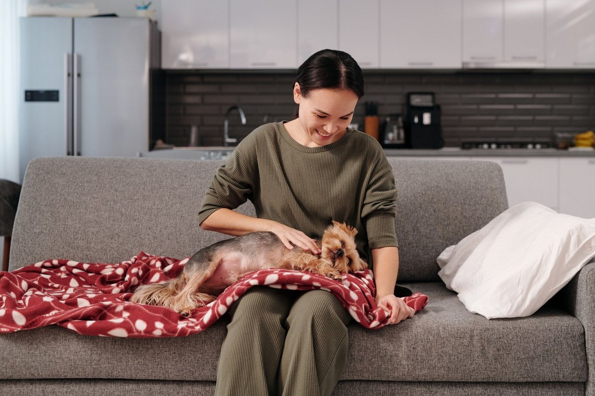 Woman on a gray sofa stroking a small terrier asleep on a red blanket across her lap