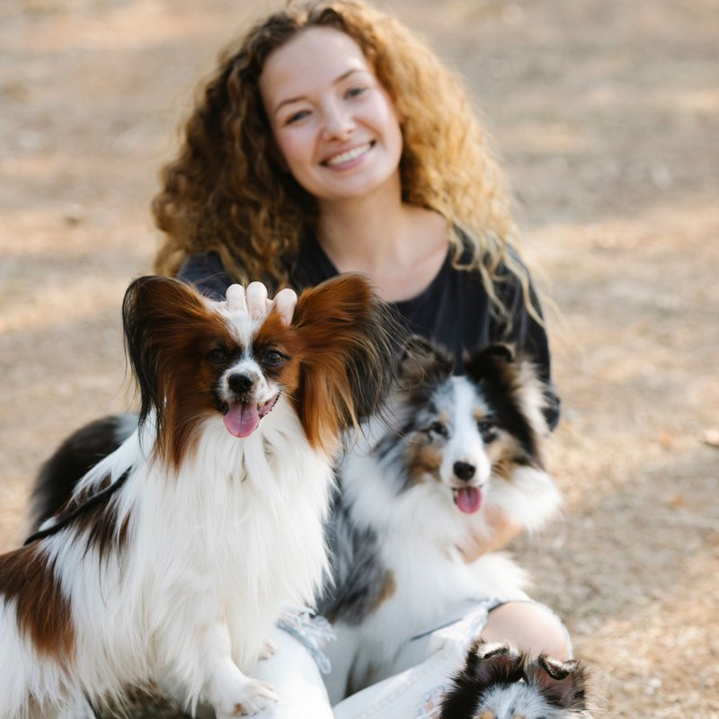 Smiling woman with curly hair on the ground with three long-haired dogs around her